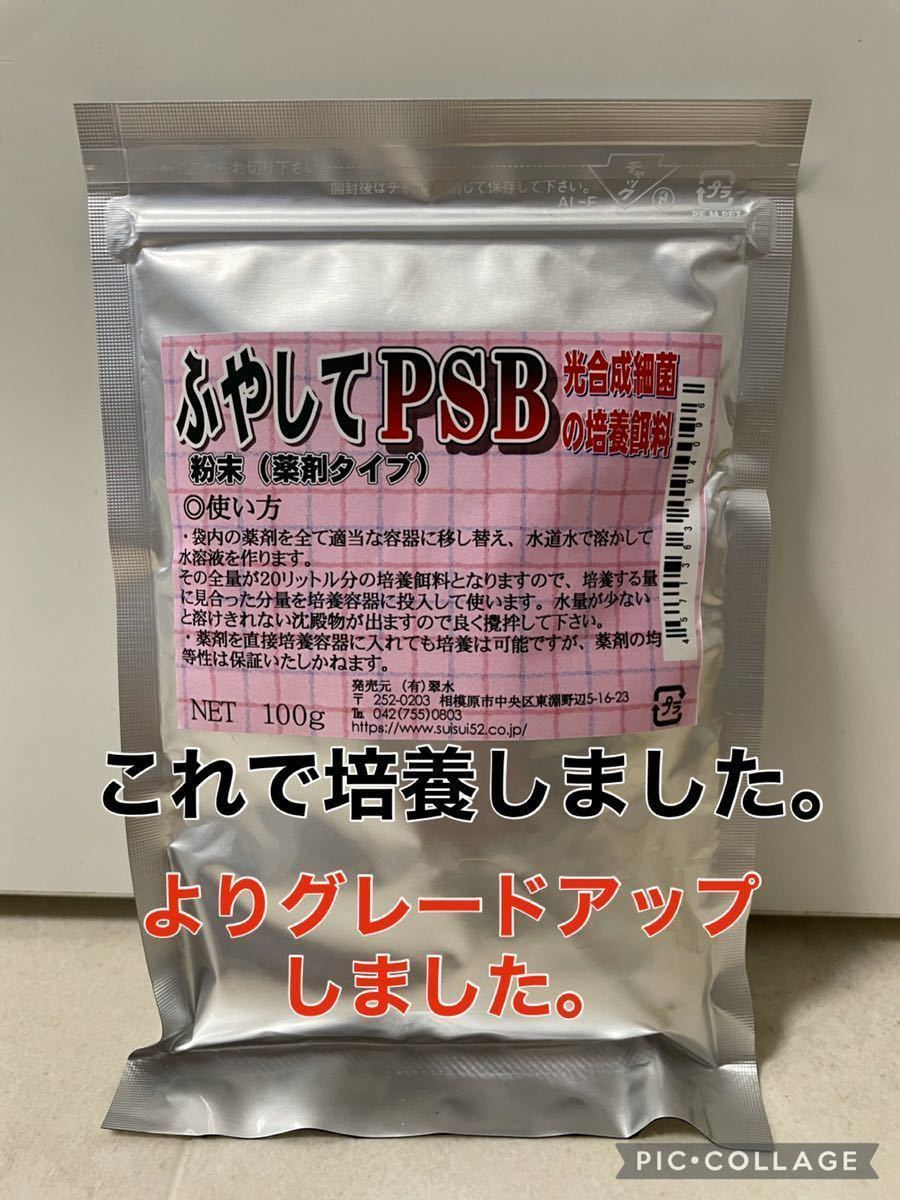 人気特価激安 メダカの餌 検索ワード ゾウリムシ 種水 針子の餌 Psb 魚用品 水草 人気特価激安 メダカの餌 検索ワード ゾウリムシ 種水 針子の餌 Psb 魚用品 水草