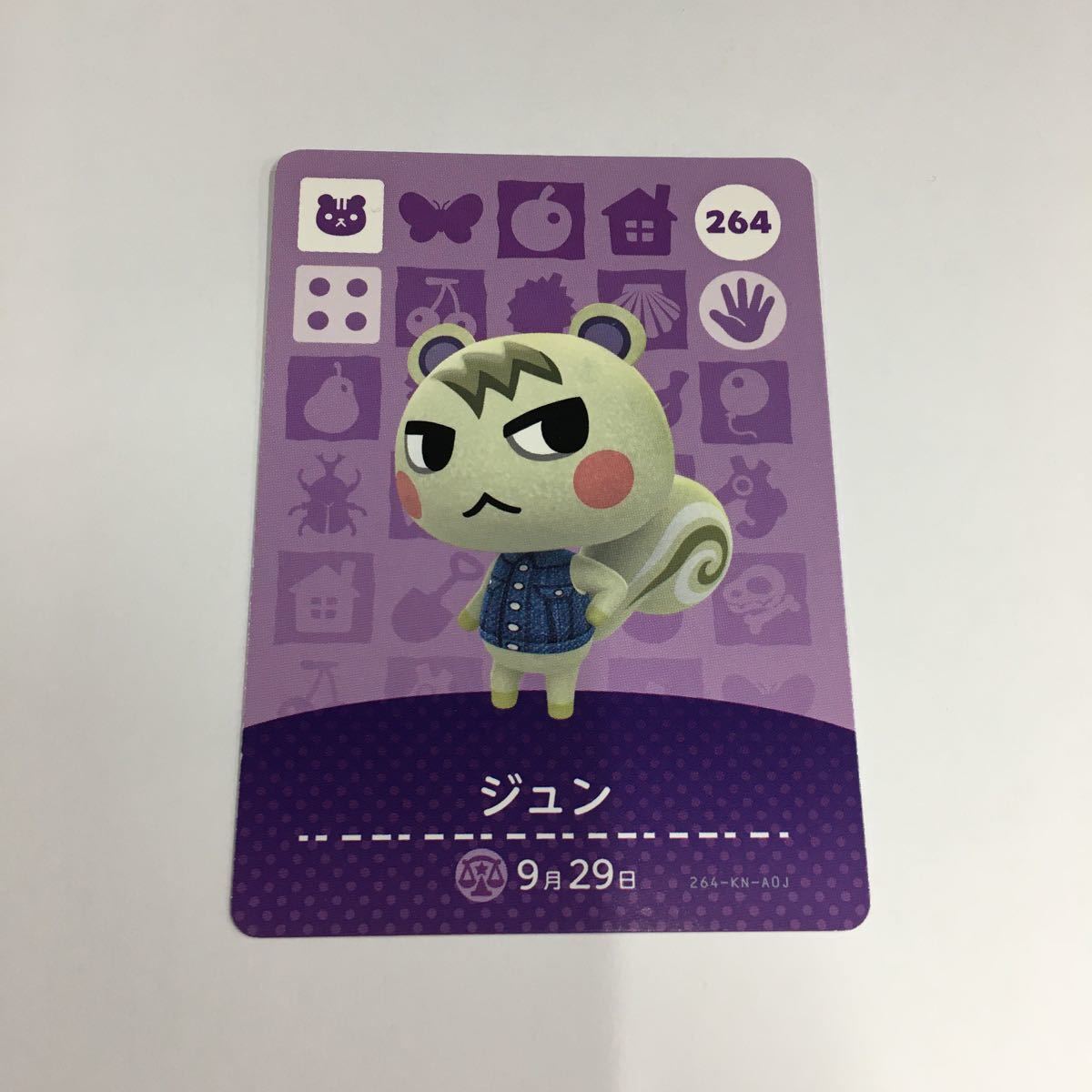 どうぶつの森 amiibo カード アミーボ ジュン ジュン どうぶつの森