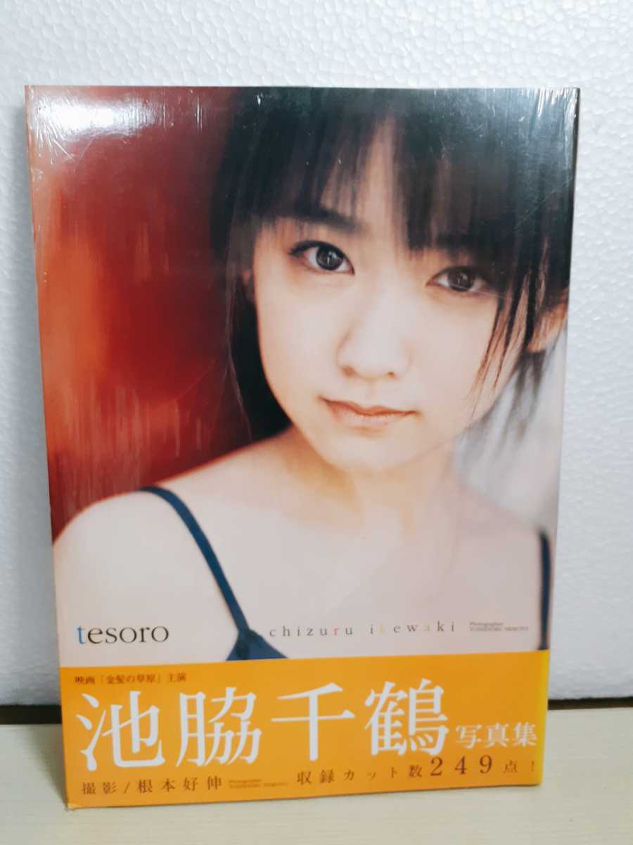 L2 池脇千鶴写真集 Tesoro 池脇千鶴 売買されたオークション情報 Yahooの商品情報をアーカイブ公開 オークファン Aucfan Com