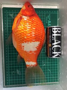 特大 金魚のヤフオク の相場 価格を見る ヤフオク の特大 金魚のオークション売買情報は23件が掲載されています