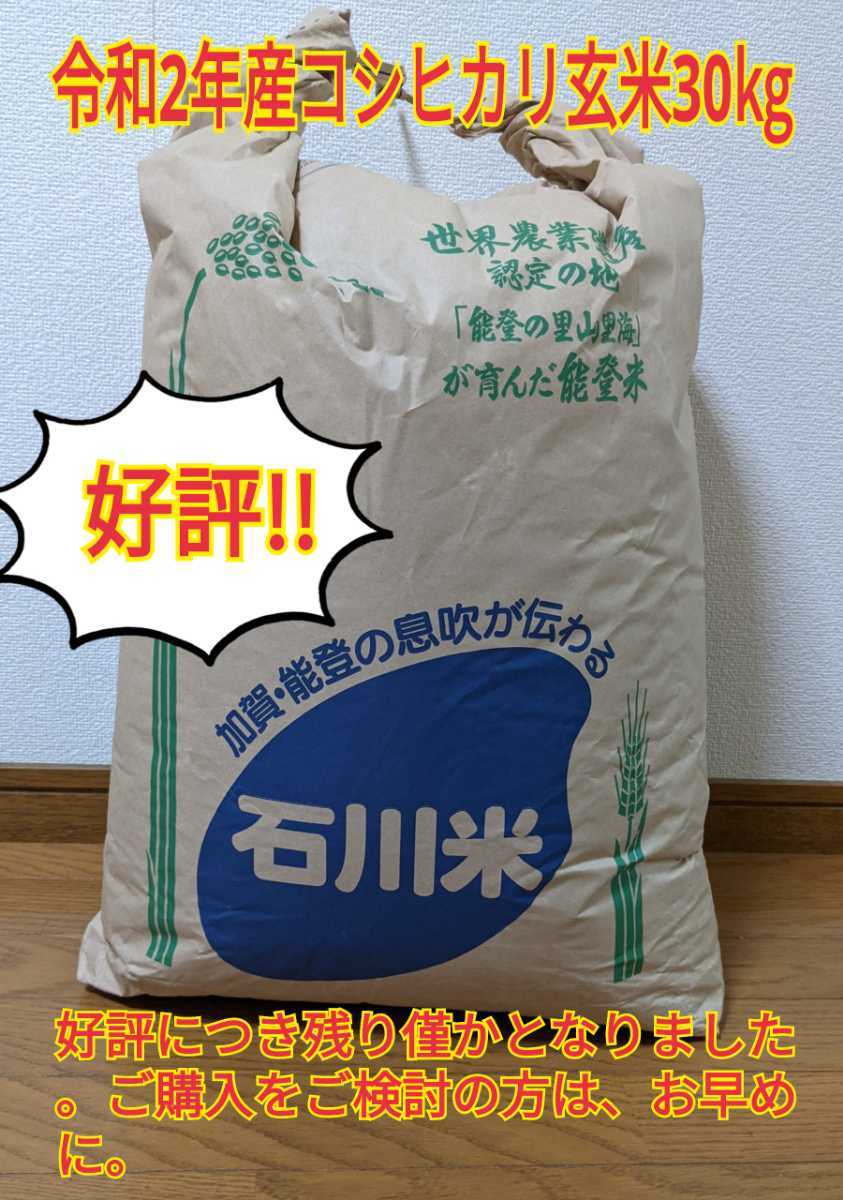 石川県産コシヒカリ玄米30kg(令和2年産) 米 コシヒカリ 【公式通販】