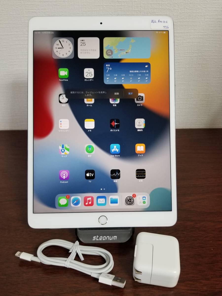 超美品 Apple iPad Pro 10.5インチ Wi-Fiモデル 256GB シルバー＋Apple