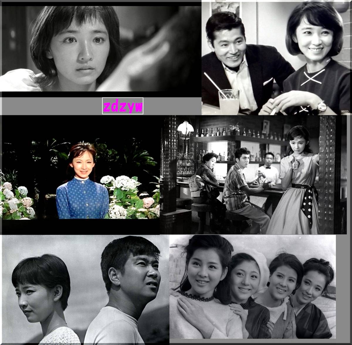 A3 芦川いづみ90分 星由里子40分 昭和の大女優 激レア写真集スライドショー 色褪せない可愛さ 可愛過ぎる高画質ポートレイト写真集 映画 売買されたオークション情報 Yahooの商品情報をアーカイブ公開 オークファン Aucfan Com