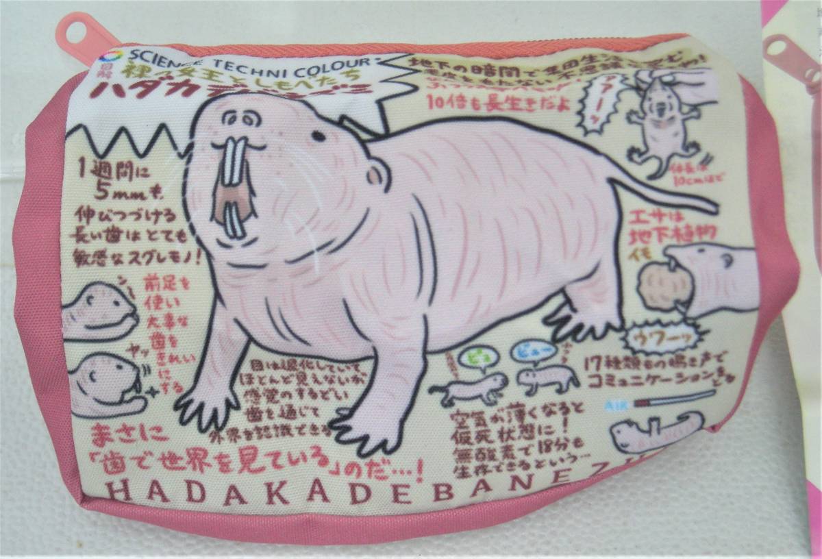 Science Techni Colour 図解 なんかへんな生きもの ハダカデバネズミ ポーチ その他 売買されたオークション情報 Yahooの商品情報をアーカイブ公開 オークファン Aucfan Com