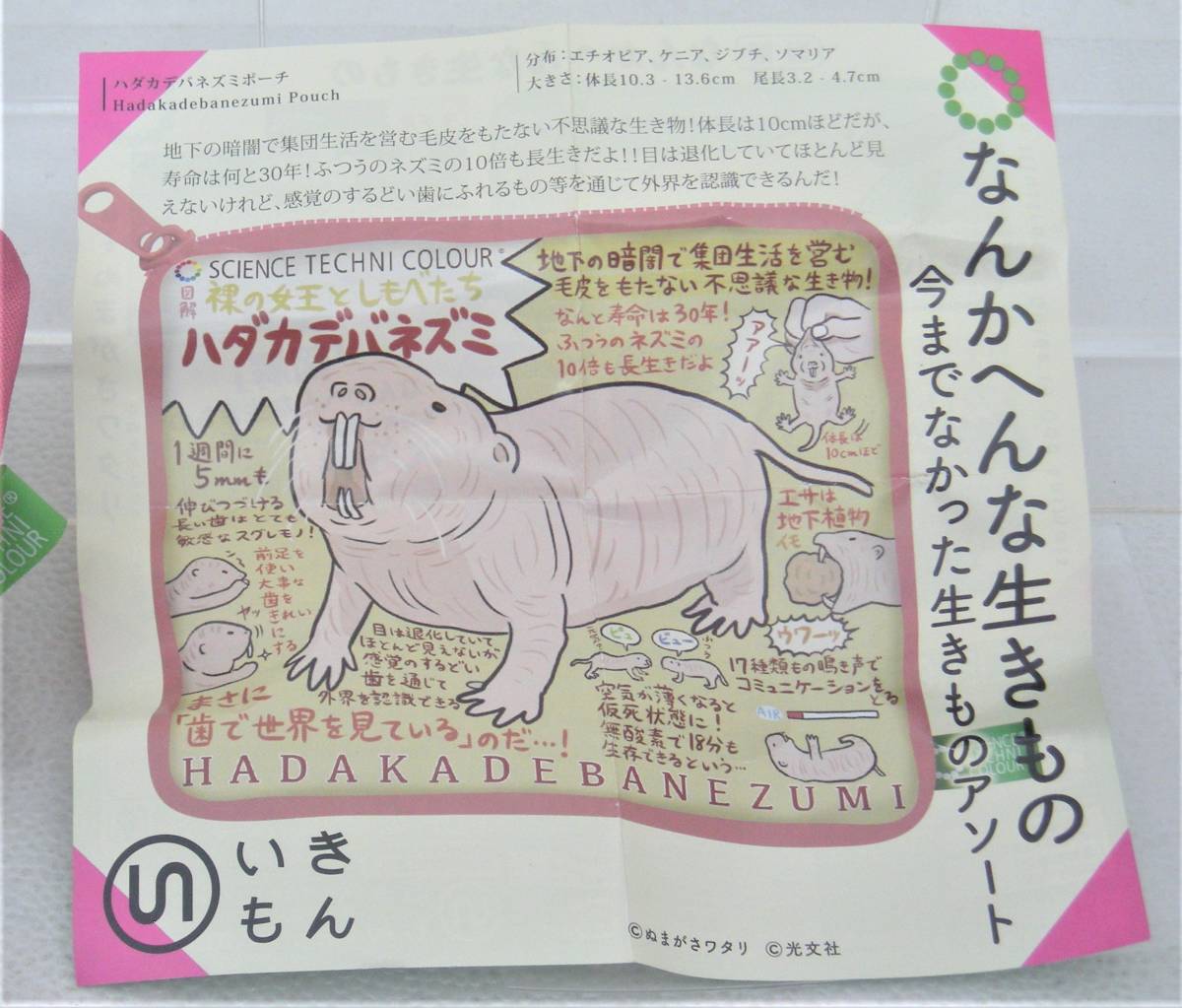 Science Techni Colour 図解 なんかへんな生きもの ハダカデバネズミ ポーチ その他 売買されたオークション情報 Yahooの商品情報をアーカイブ公開 オークファン Aucfan Com