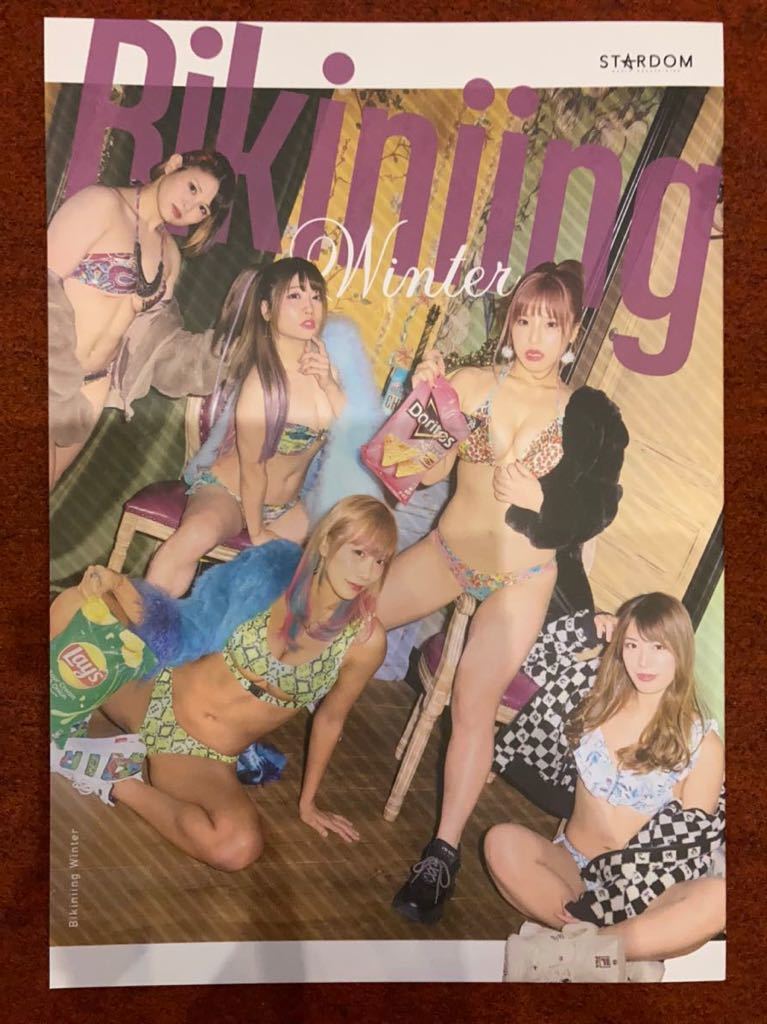 スターダム - PhotoBook stardom (月刊ブシロード ☆スターダム 水着