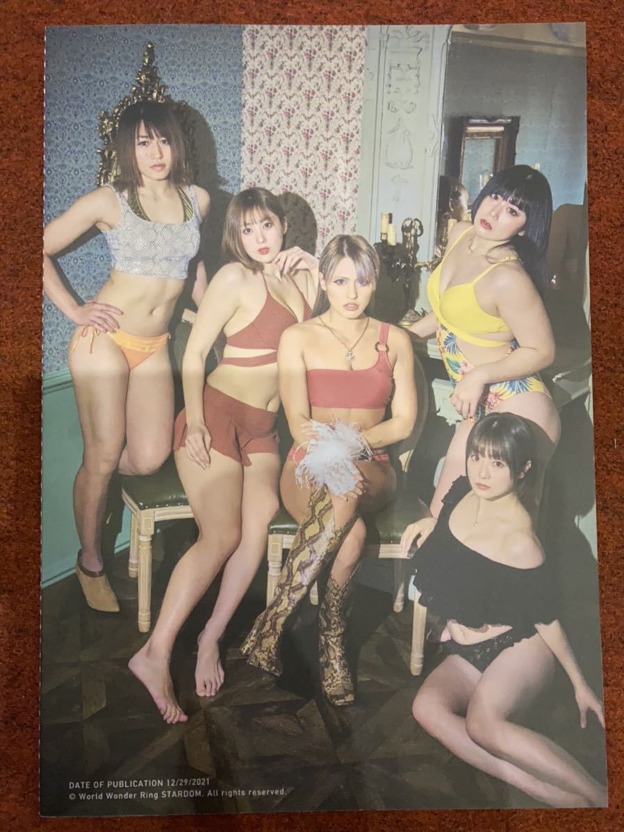 スターダム - PhotoBook stardom (月刊ブシロード ☆スターダム 水着