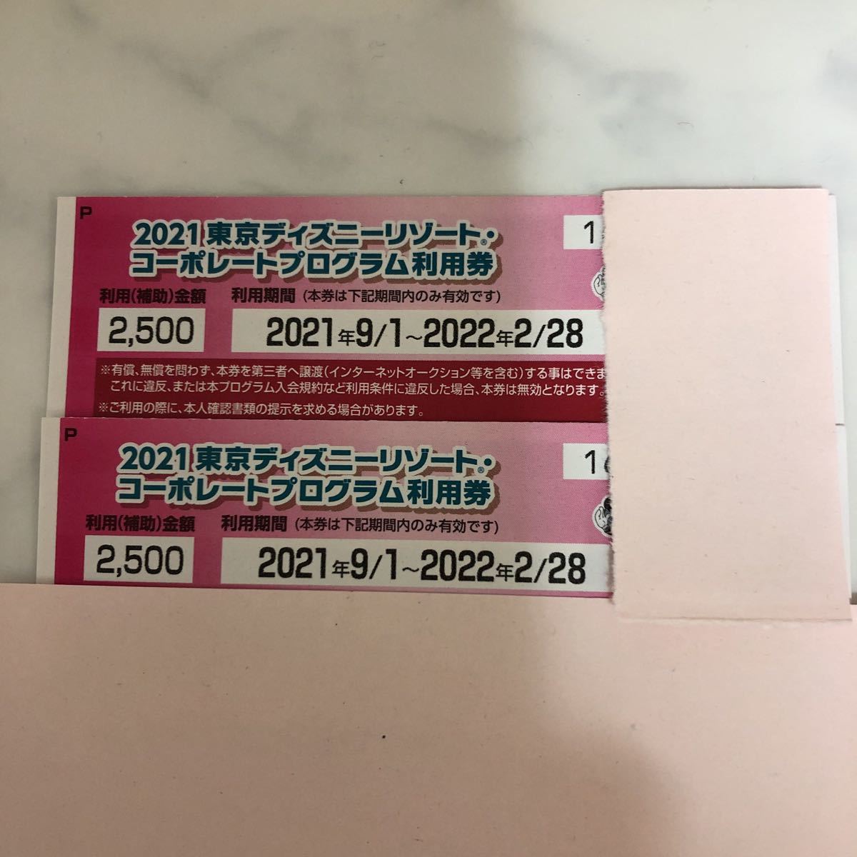 東京ディズニーリゾート、コーポレートプログラム利用券　２枚組