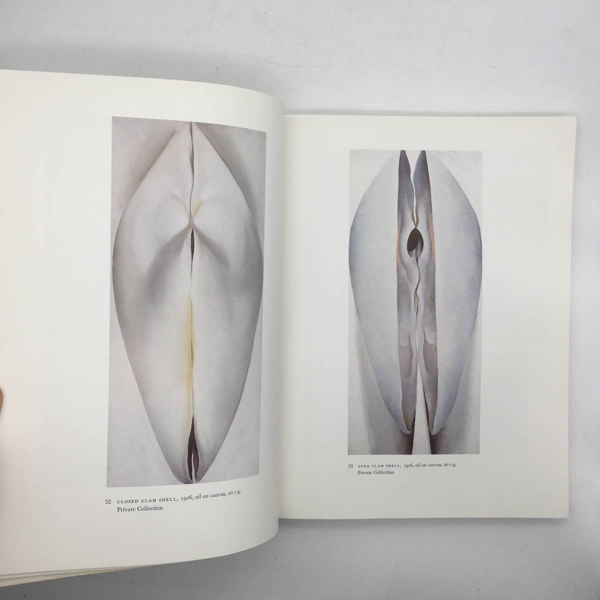 画集】ジョージア・オキーフ 作品と手紙「Georgia O'Keeffe : art and