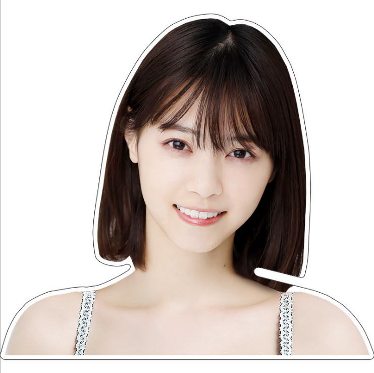 乃木坂46 超乃木坂46○西野七瀬○フォトハンガー○人形 2026年最新