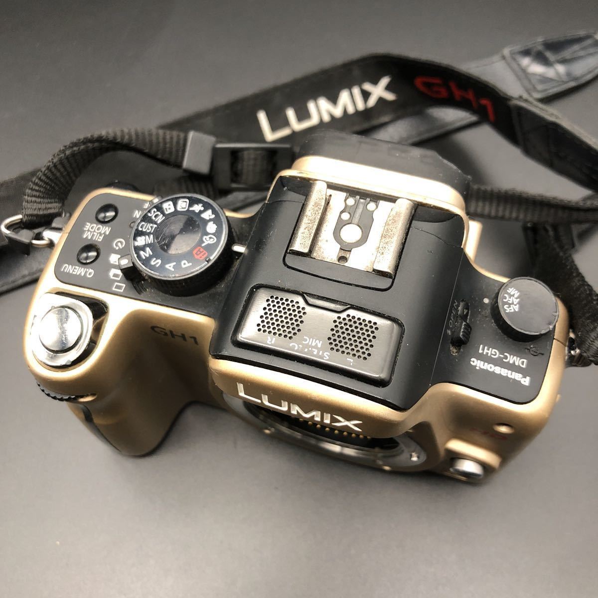 Panasonic Lumix DMC-GH1 Digital Camera (Red) with 14-140mm