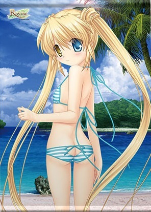 B2タペストリー】 (中津静流) Rewrite リライト カーテン魂 樋上いたる 
