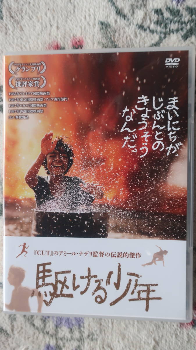 DVD 駆ける少年 見本品｜その他 