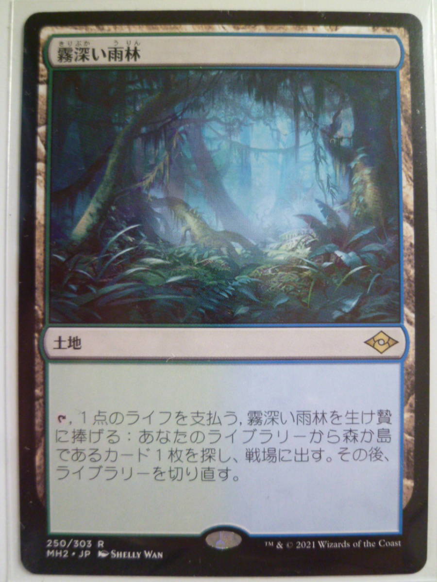 霧深い雨林 日 foil 2枚まで MTG霧深い雨林⁄misty rainforest ZNE