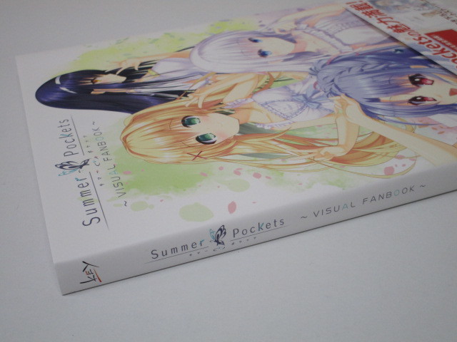 Summer Pockets VISUAL TVアニメ『Summer 設定資料集 BLUE - Yahoo!オークション (VISUAL FANBOOK ARTS&frasl;Key) キャスト B0131-4Y&frasl; FA Pockets』公式設定資料集が3月31日に発売！ Pockets』～夏灯り、君と過ごす夜～