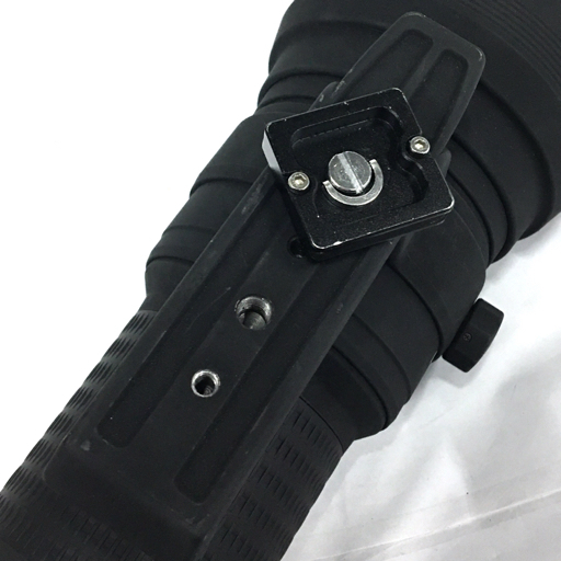 SIGMA APO 800mm 1:5.6 EX HSM 専用ケース付 望遠ズームレンズ カメラ レンズ Canonマウント EX HSM Sigma samples (Full-frame Sigmonster