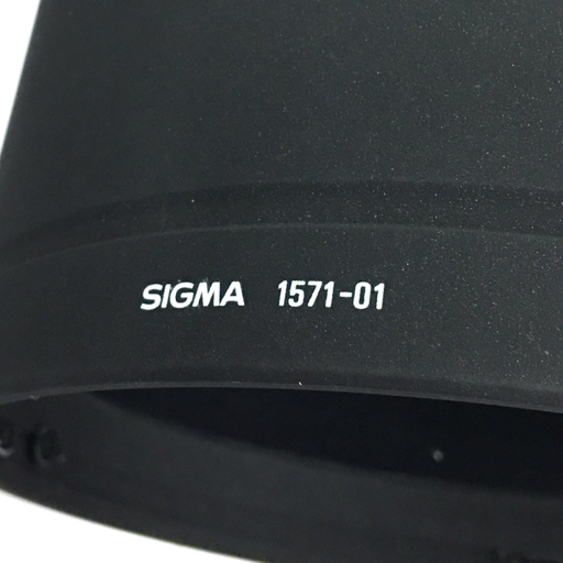 SIGMA APO 800mm 1:5.6 EX HSM 専用ケース付 望遠ズームレンズ カメラ レンズ Canonマウント EX HSM Sigma samples (Full-frame Sigmonster