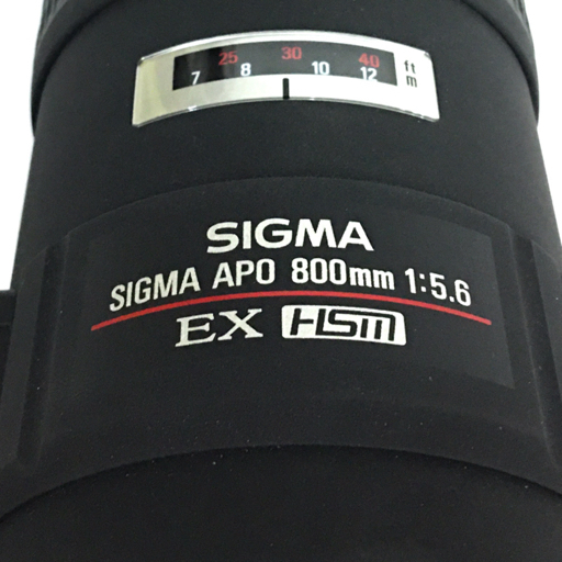 SIGMA APO 800mm 1:5.6 EX HSM 専用ケース付 望遠ズームレンズ カメラ レンズ Canonマウント EX HSM Sigma samples (Full-frame Sigmonster