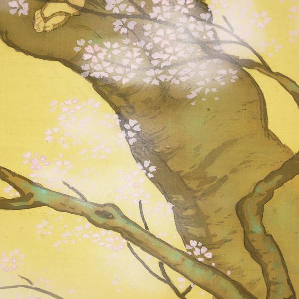 掛軸 絹本 日本画 真作WISH尾竹国観 ◇花咲か爺・桜 〇尾竹三兄弟 文展