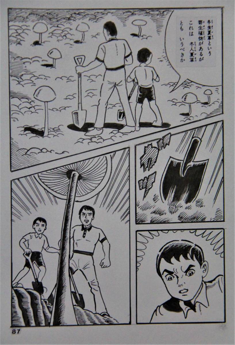 白川まり奈 『侵略円盤キノコンガ原画（5）87ページ』原画(サイン
