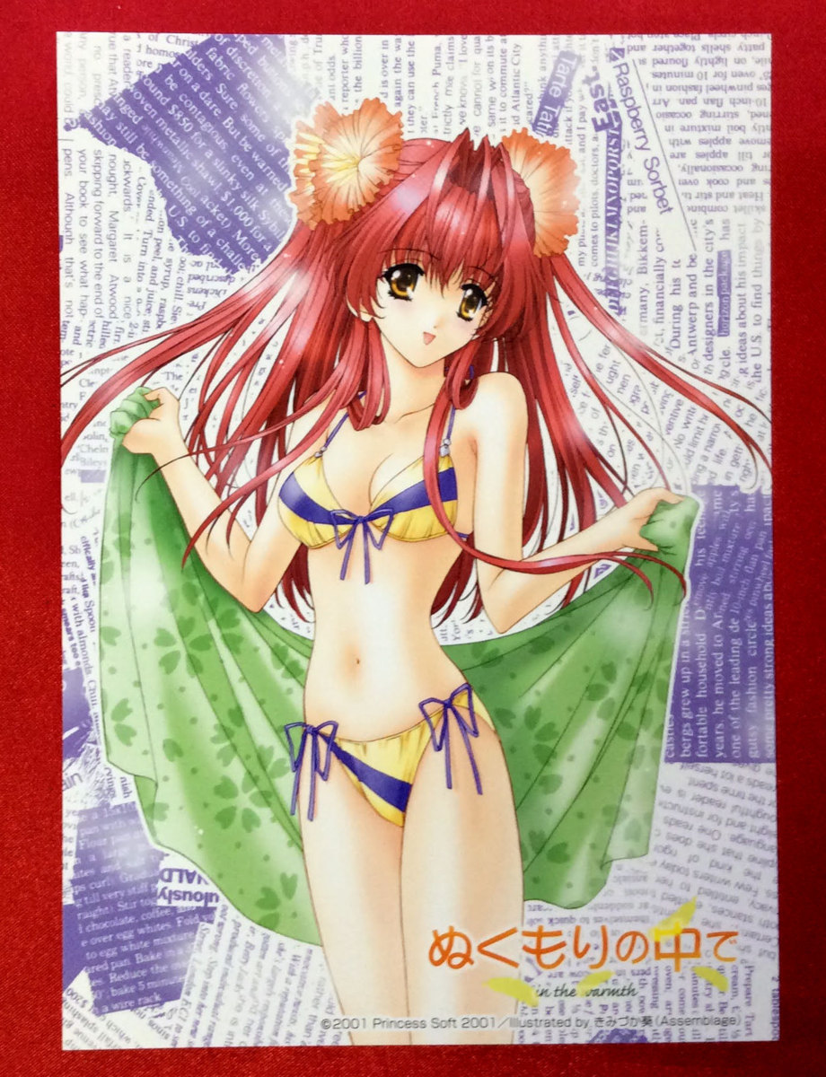 ぬくもりの中で ポスター B2 2001年 きみづか葵 タイトー ぬくもりの中で きみづか葵 ポストカード 5枚 非売品 当時モノ 希少