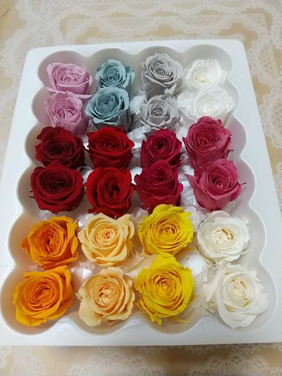 プリザーブドフラワー ローズ バラ イエロー レッド ピンク系アソート ハーバリウムやアロマワックスサシェ クリスタルアートリウム プリザーブドフラワー 売買されたオークション情報 Yahooの商品情報をアーカイブ公開 オークファン Aucfan Com