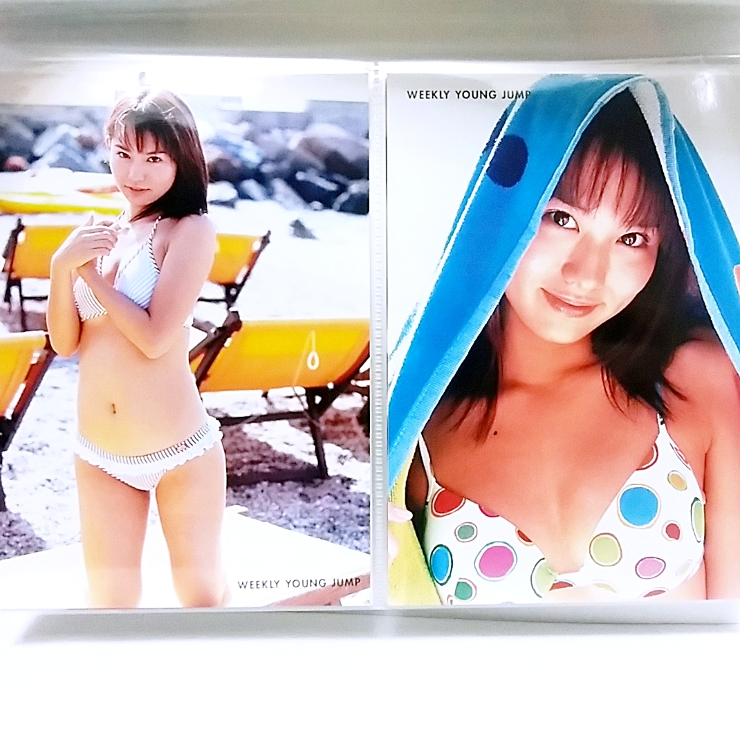 市川由衣 / ヤングジャンプ オリジナルDVD ＆スペシャルフォトアルバム