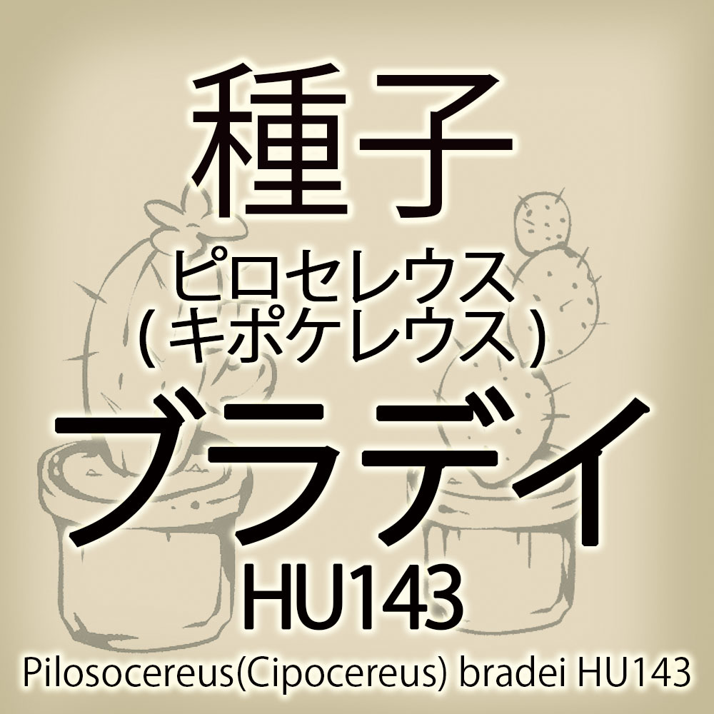 輸入種子 ピロセレウス キポケレウス ブラデイ Pilosocereus Cipocereus Bradei Hu143 サボテン 多肉植物 Sk105 46 サボテン 売買されたオークション情報 Yahooの商品情報をアーカイブ公開 オークファン Aucfan Com 輸入種子 ピロセレウス キポケレウス ブラデイ Pilosocereus Cipocereus Bradei Hu143 サボテン 多肉植物 Sk105 46 サボテン 売買されたオークション情報 Yahooの商品情報をアーカイブ公開 オークファン Aucfan Com