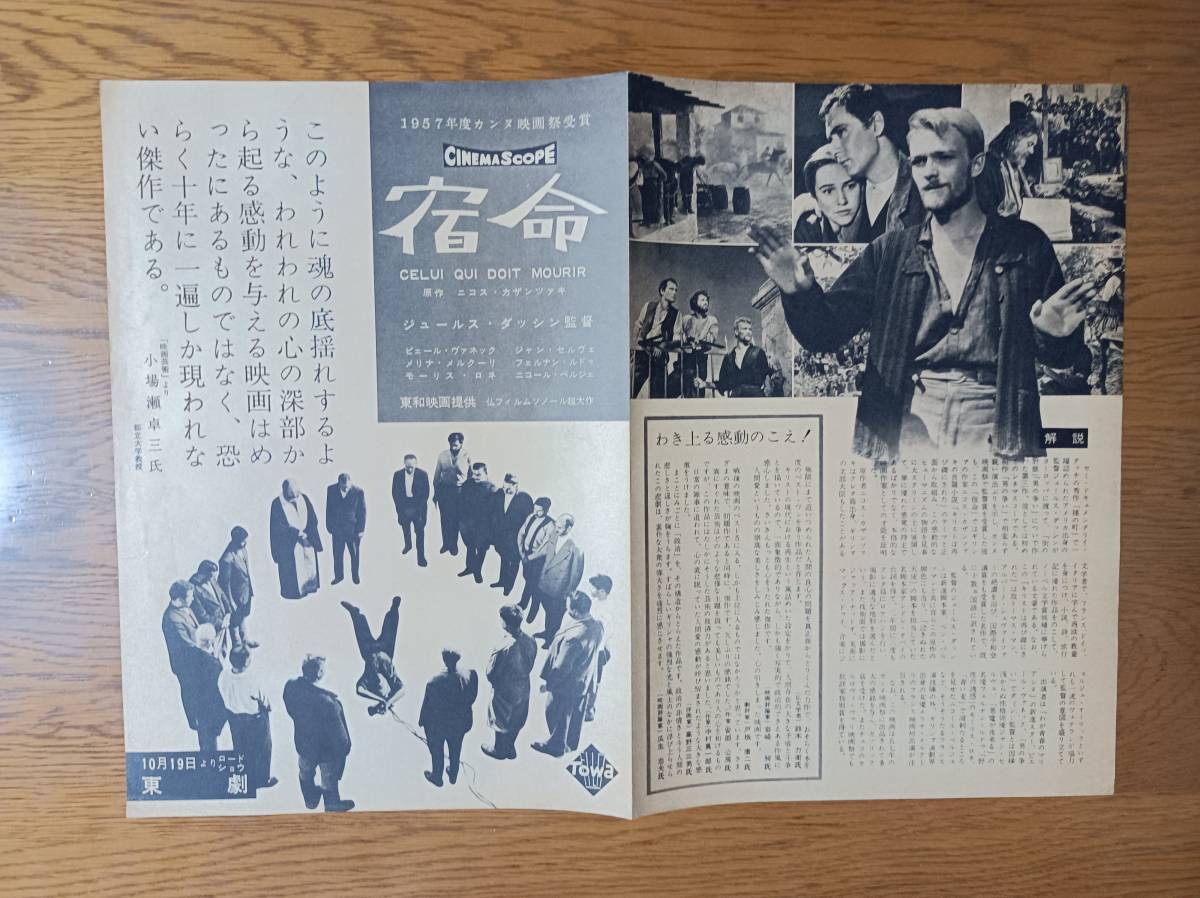 映画チラシ 宿命 ジュールス・ダッシン モーリス・ロネ メルナ 