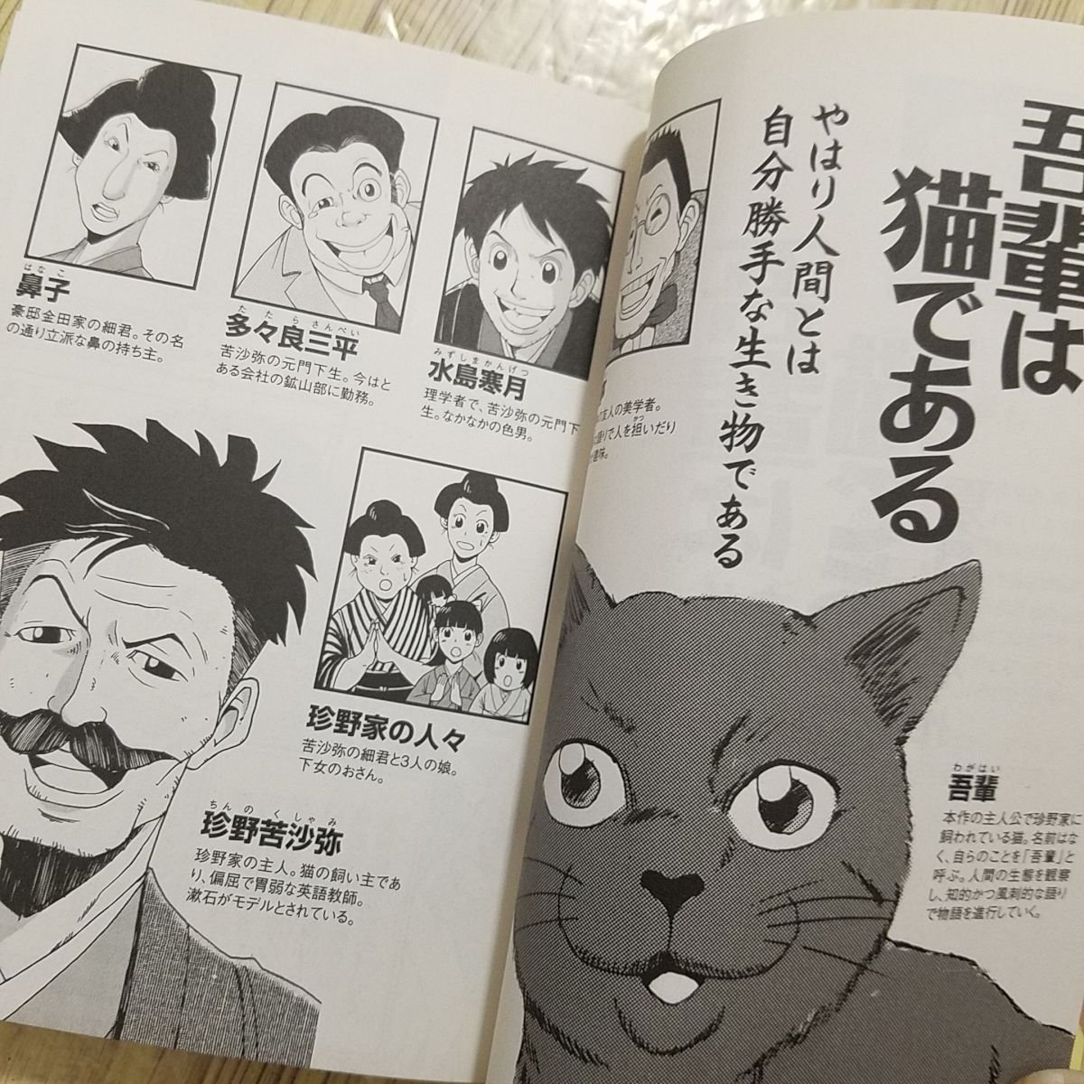 コミック まんが 読破 吾輩は猫 ある 夏目漱石 作 日本文学 送料180円 青年 売買されたオークション情報 Yahooの商品情報をアーカイブ公開 オークファン Aucfan Com