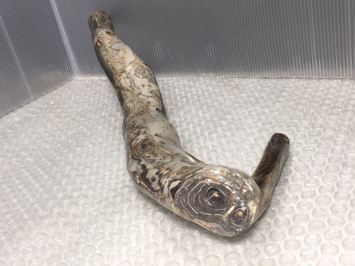 深海松 重さ約767g 検索 ウミマツ 海松 ふかみる サンゴ レインボーコーラル 虹色 金色 青色 宝石 珊瑚 ゴールド ブルー 根付 彫刻 置物 科学 自然 売買されたオークション情報 Yahooの商品情報をアーカイブ公開 オークファン Aucfan Com