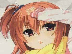 サノバウィッチ 抱き枕の値段と価格推移は 10件の売買情報を集計したサノバウィッチ 抱き枕の価格や価値の推移データを公開