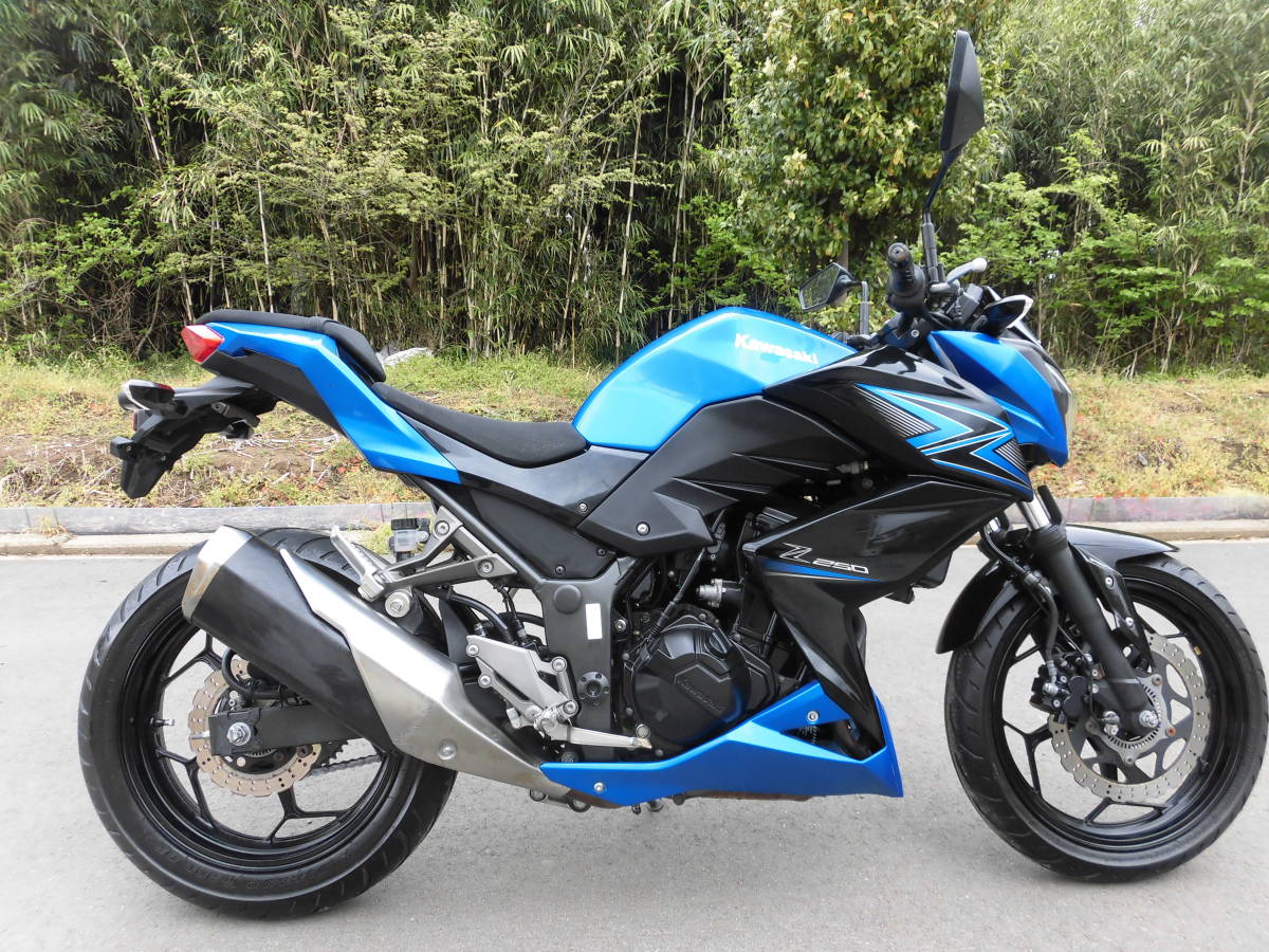 専用(ファイル追加) Z250 中古・新車バイクの販売 高年式の低走行車！の詳細 カワサキ Z250
