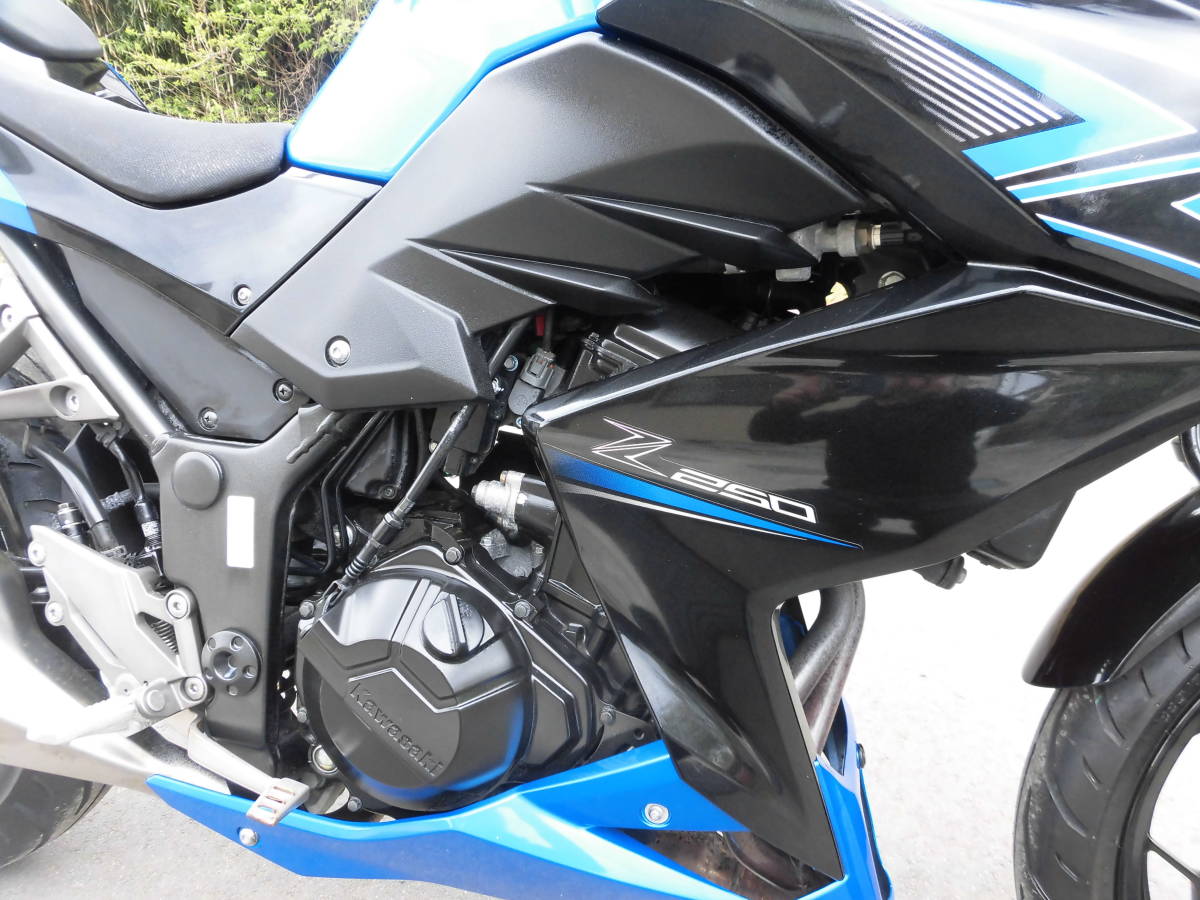 Z250 中古・新車バイクの販売 高年式の低走行車！の詳細 カワサキ Z250