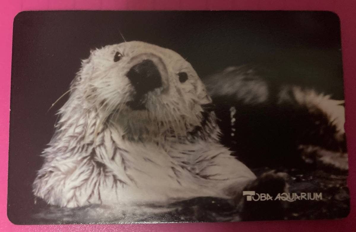 鳥羽水族館 ラッコ 50度数 テレホンカード テレカ らっこ テレフォンカード Toba Aquarium 水族館 動物 売買されたオークション情報 Yahooの商品情報をアーカイブ公開 オークファン Aucfan Com