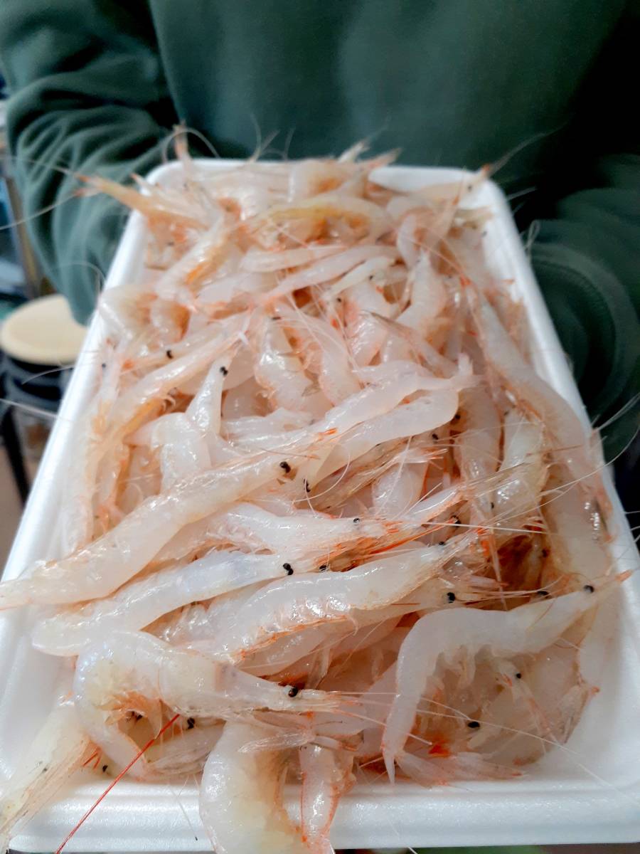 お家 ご馳走 富山ブランド海老 旬の白エビ 軍艦巻き 唐揚げ かき揚げ ご堪能 その他 売買されたオークション情報 Yahooの商品情報をアーカイブ公開 オークファン Aucfan Com