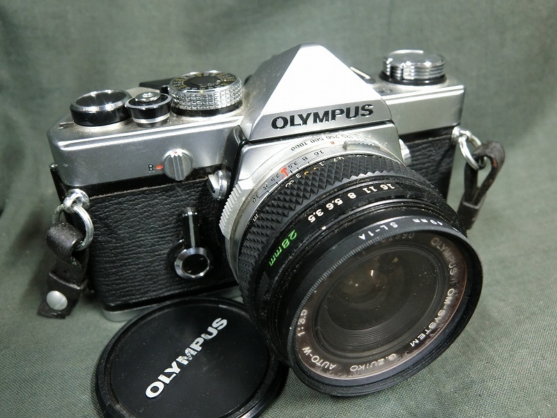 i-img1200x872-17249787792722tllrb4368781