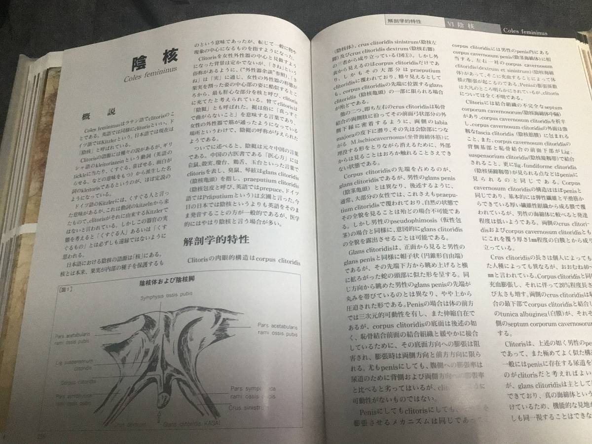 最終出品 撮影時のみ開封 国際性科学学会 日本女性の外性器｜健康と医学