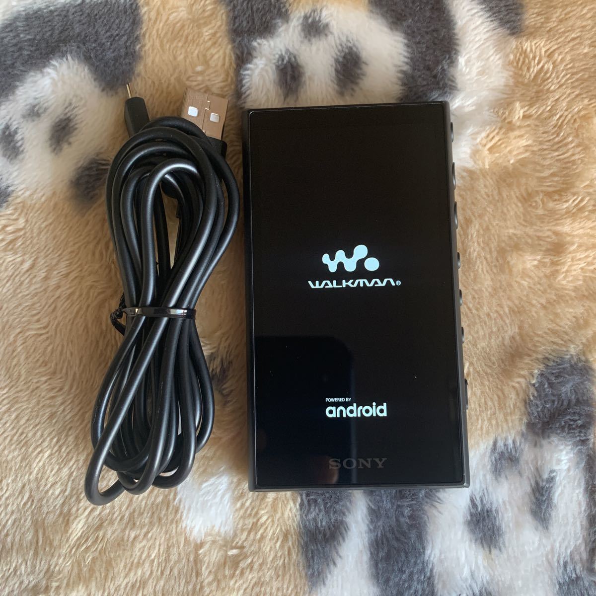 WALKMAN SONY ソニー ソニーウォークマン モデル32GB NW-A106