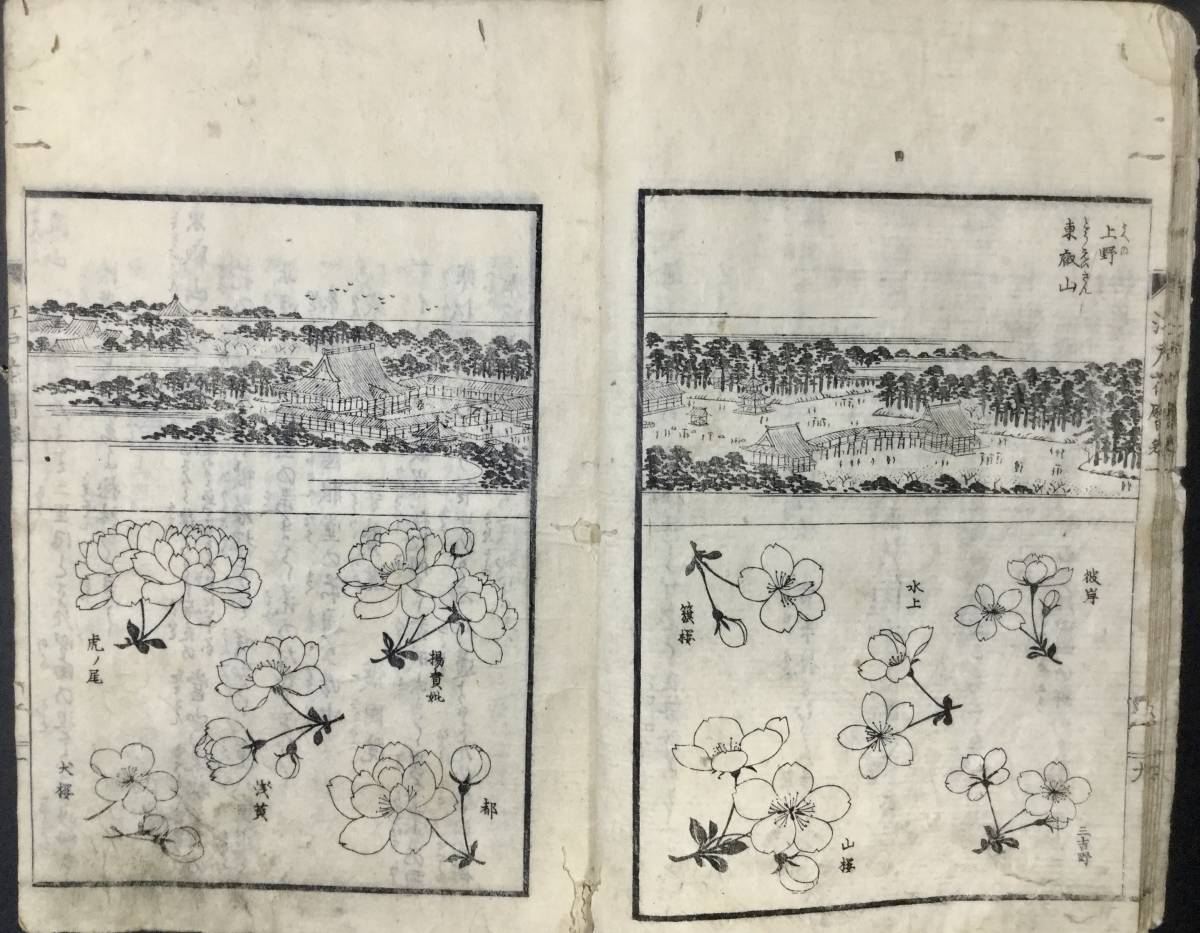 - 江戸名所図会 | &frasl; ニッポン書物遺産 第2回 長谷川雪旦画 画） 江戸名所図会(斎藤月岑著 長谷川雪旦画) 杉本梁江堂 古本、中古本 ＵＡＧ美術家研究所 名所図会絵師として名を高めた長谷川雪旦と唐津藩 名所と花｜江戸の花だより｜国立公文書館 長谷川雪旦点の浮世絵