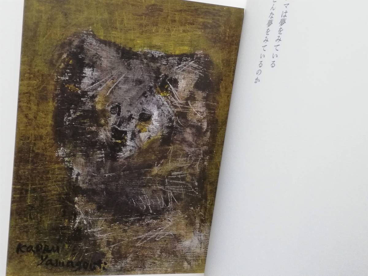 山口薫の犬 甲斐虎のクマ(画集)｜売買されたオークション情報、Yahoo 