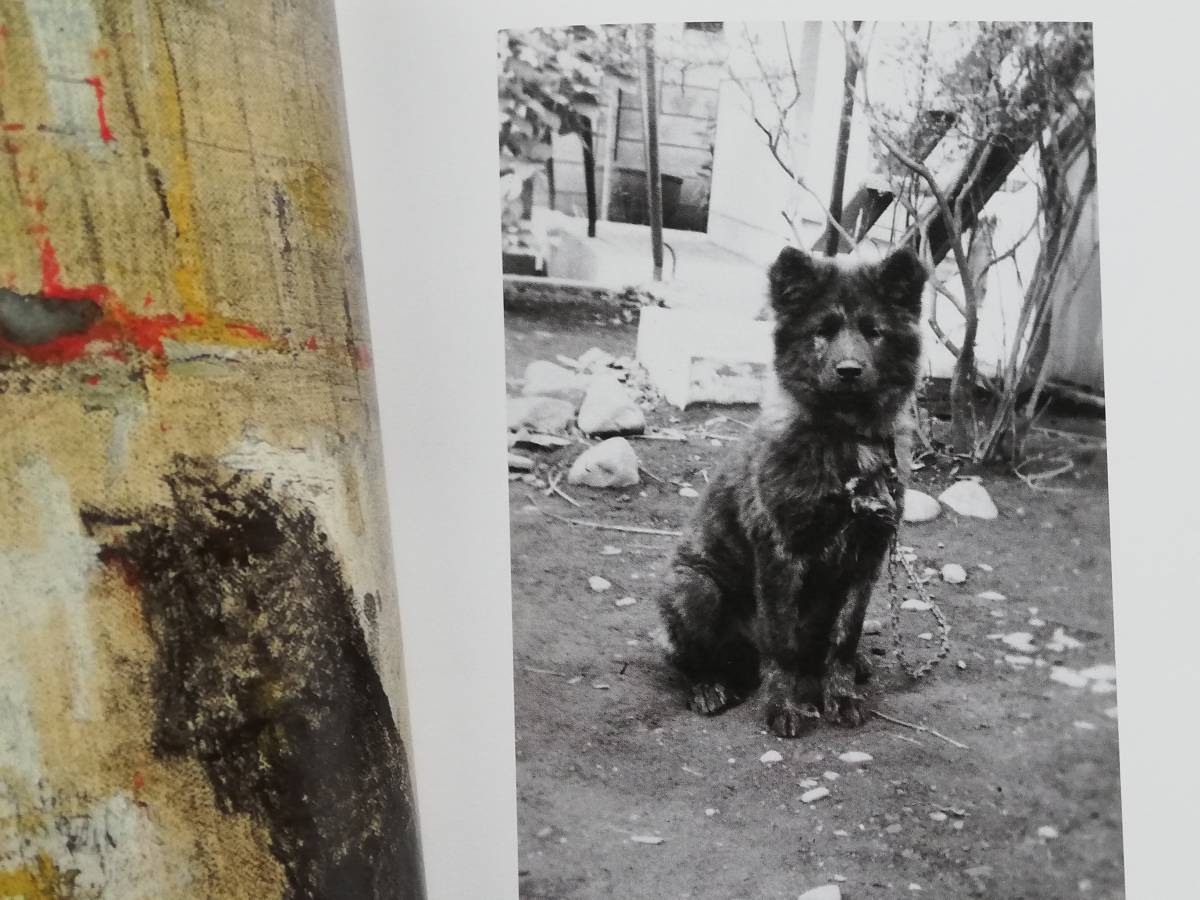 山口薫の犬 甲斐虎のクマ(画集)｜売買されたオークション情報、Yahoo 