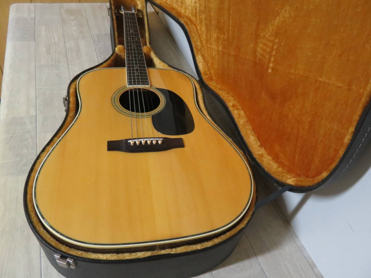 Aria アリア W30 アコースティック ギター アコギ 本体 弦楽器 ハード 