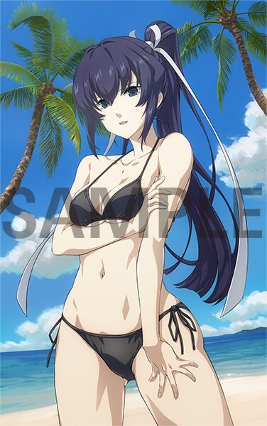 マブラヴ オルタネイティヴ Blu-ray Box Ⅱ ソフマップ特典 御剣冥夜 