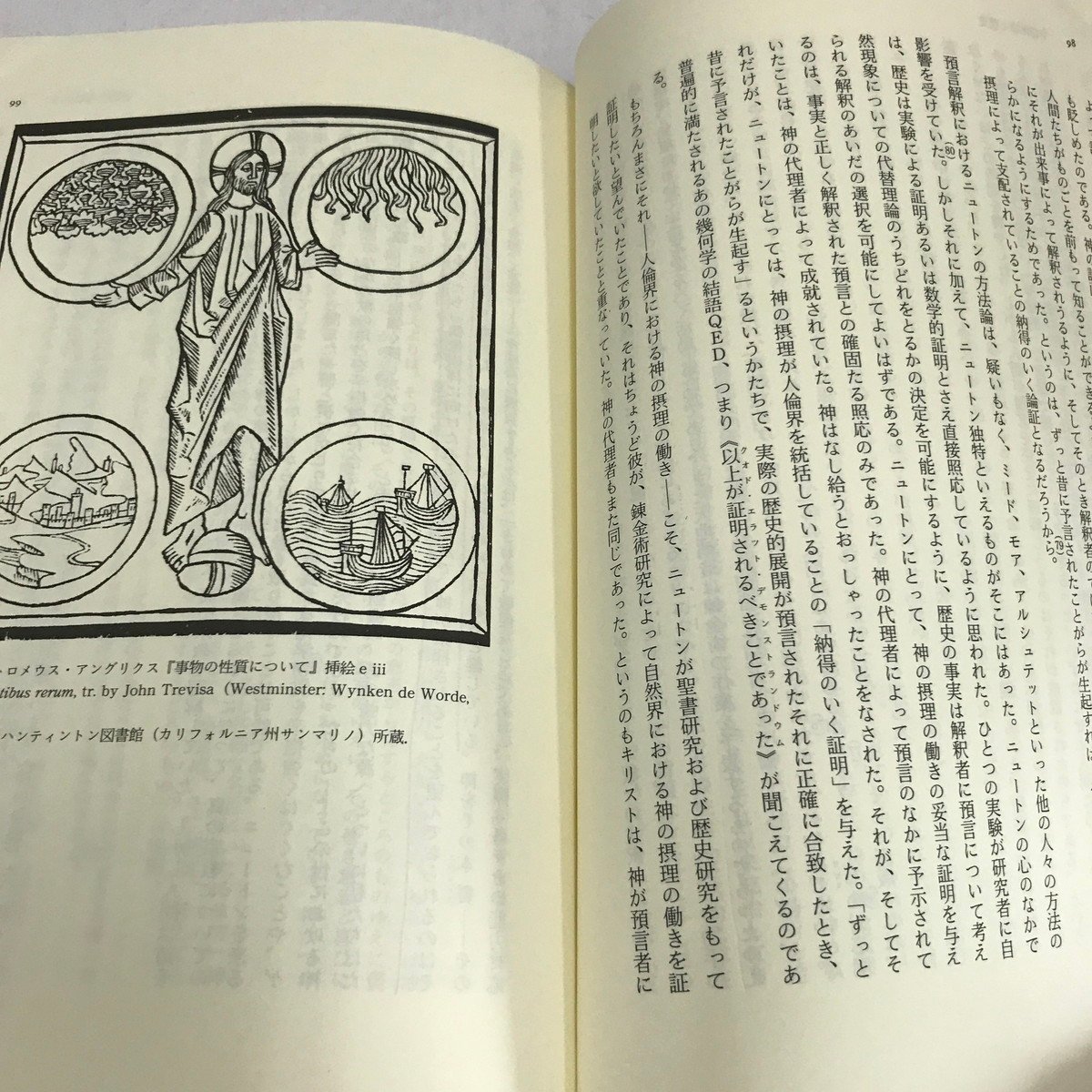 NA/L/錬金術師ニュートン ヤヌス的天才の肖像/B.J.T.ドッブズ/訳：大谷