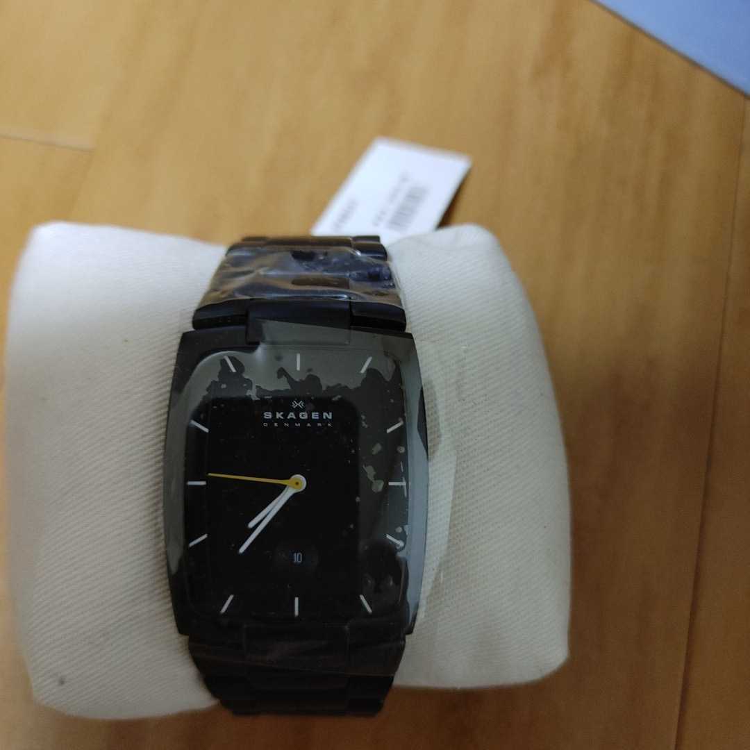 スカーゲン 時計 メンズ SKAGEN SKW6047 ステンレススチール 腕時計 