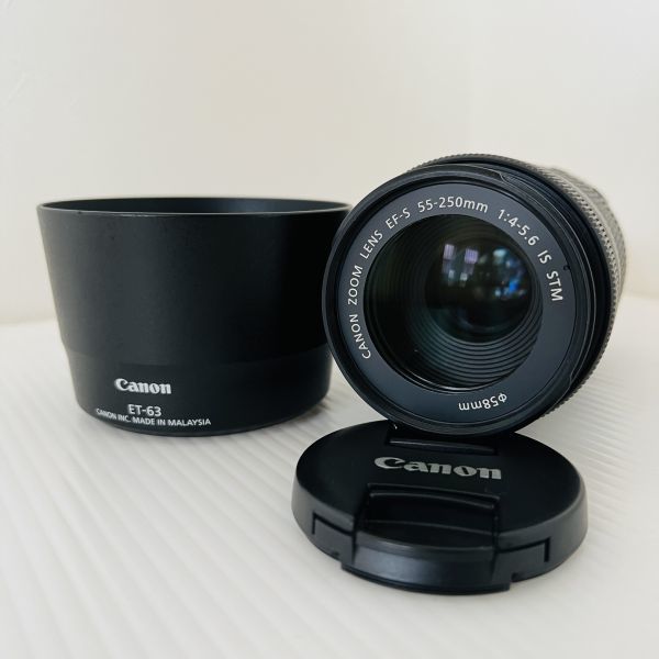 美品 EF-S 55-250mm F4-5.6 IS STM 【公式通販】