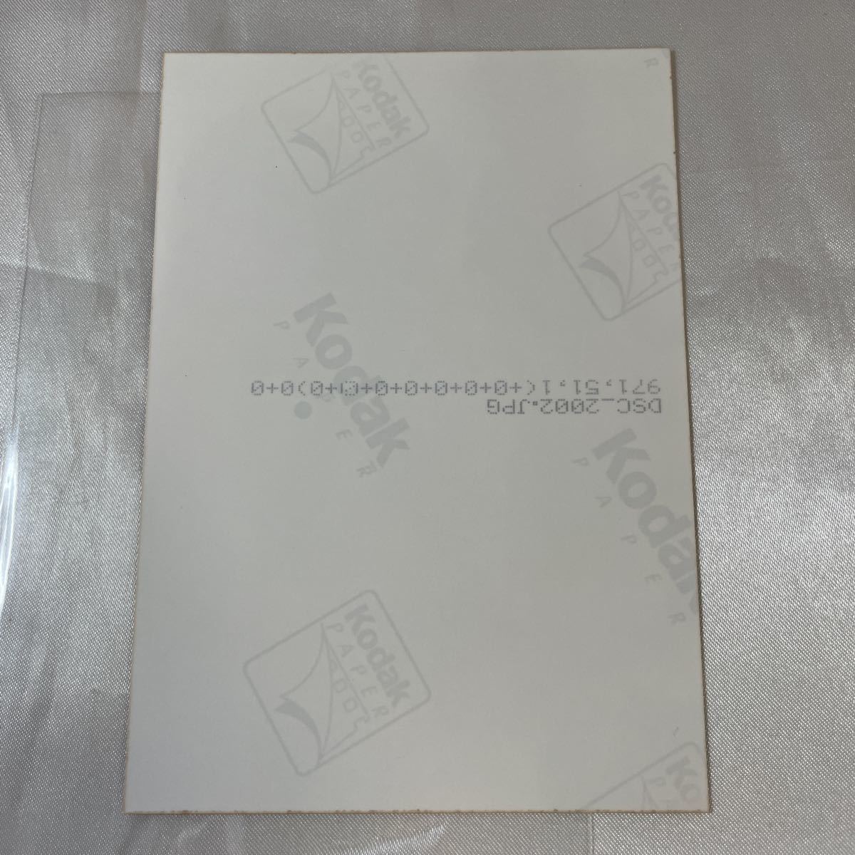 新品 桃色聖春女学園 特典 生写真 グラビア 写真 水着 競泳水着 L判 