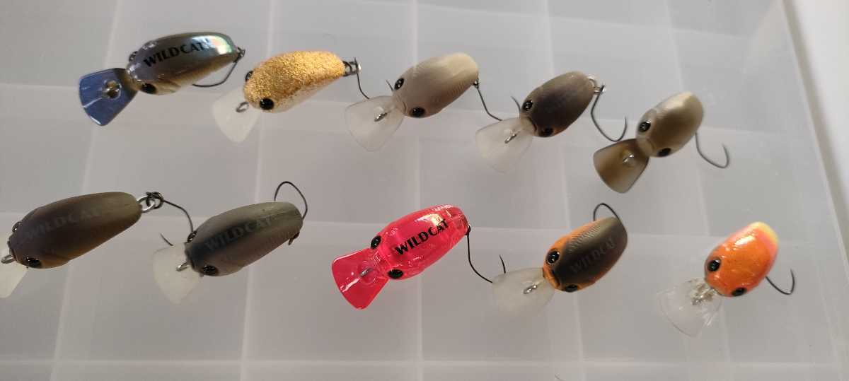 トラウト】ラッキークラフト マイクロクラピー ショップオリカラなど