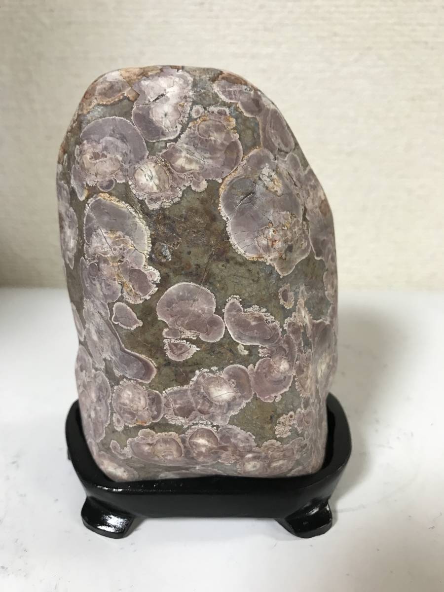越前紋石 鑑賞石 0 | - 水石 緋山酔恭「山水石美術館」 石